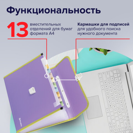 Папка-портфель пластиковая BRAUBERG "JOY", А4 (330х245х35 мм), 13 отделений, с окантовкой, фиолетовая, 227977