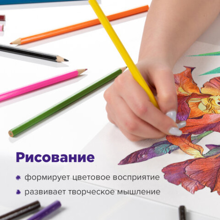 Карандаши цветные акварельные BRAUBERG "АКАДЕМИЯ", 12 цветов, шестигранные, грифель 3 мм, натуральное дерево, 181398
