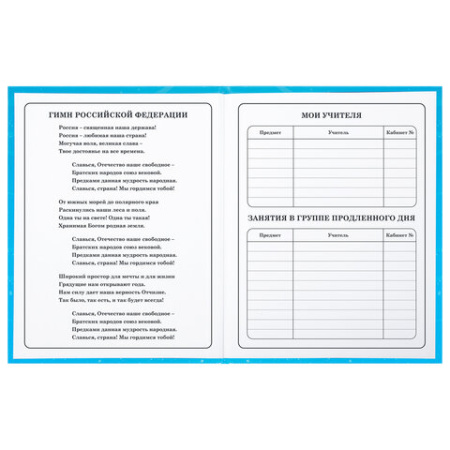 Дневник 1-4 класс 48 л., твердый, BRAUBERG, глянцевая ламинация, с подсказом, "Капибара", 106837