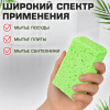 Губки для посуды 110х70х20 мм, ЦЕЛЛЮЛОЗНЫЕ, КОМПЛЕКТ 2 штуки, зеленые, LAIMA, 700257
