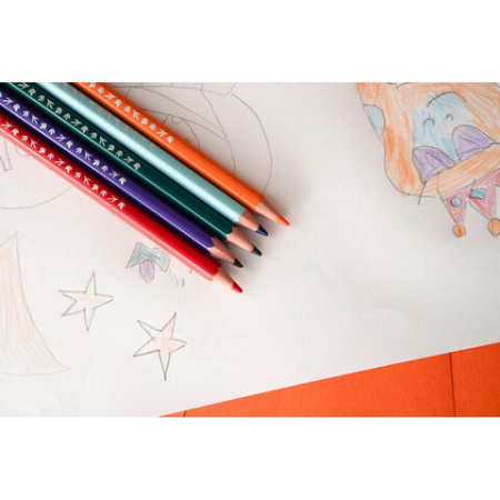 Карандаши цветные BIC "Tropicolors", 12 цветов, шестигранные, 83256610