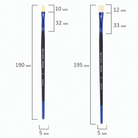 Кисти BRAUBERG PREMIUM, набор 10 шт. (круглые пони - 5 шт., синтетика - 3 шт., плоские щетина - 2 шт.), блистер, 201023