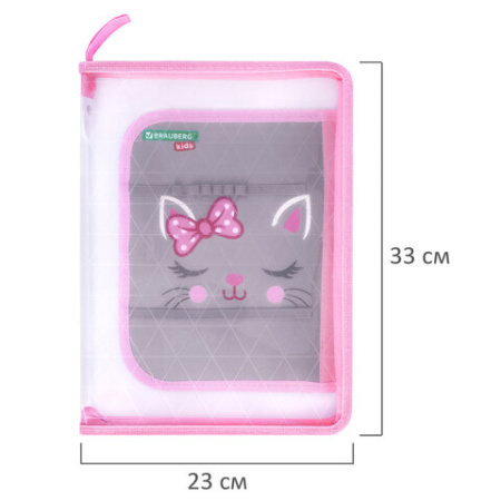 Папка для труда на молнии BRAUBERG KIDS А4, 1 отделение, прозрачная, органайзер, "Очаровательный кот", 273397