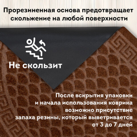 Коврик придверный 60х90 см, ВЕНГЕ, грязезащитный, 430 г/м2, ПОЛУКРУГ, фактурный ЧЕШУЙКИ, ЛЮБАША, 701053