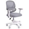 Кресло детское с подставкой для ног BRABIX KIDS "MG-220", сетка/ткань TW, серое, 533315