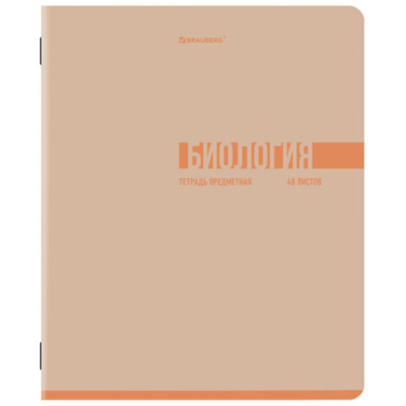 Тетради предметные, КОМПЛЕКТ 12 ПРЕДМЕТОВ, 48 л., обложка картон, BRAUBERG "VIBE", 405163