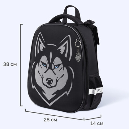 Ранец BRAUBERG SHINY, 2 отделения, с брелоком, "Хаски", СВЕТЯЩИЙСЯ РИСУНОК, 38х28х14 см, 271383