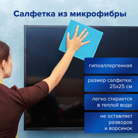 Чистящий набор с плотной микрофиброй для экранов и оптики BRAUBERG, спрей 100 мл, 510341