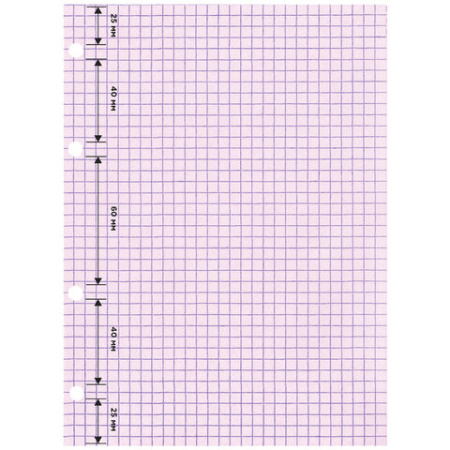 Сменный блок для тетради на кольцах, А5, 200 л., BRAUBERG, 4 цвета по 50 листов, 401661