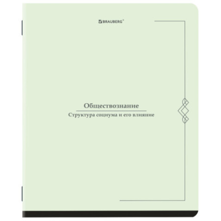 Тетради предметные, КОМПЛЕКТ 12 ПРЕДМЕТОВ, 48 л., SoftTouch, BRAUBERG "VINTAGE", 405183