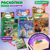 Набор для раскопок 8,5х16 см, карточка, инструменты, 3 вида ассорти, BRAUBERG KIDS, 665916