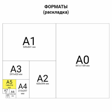 Тетрадь на кольцах А5 (175х215 мм), 240 листов, твердый картон, клетка, BRAUBERG, Miracle, 404093