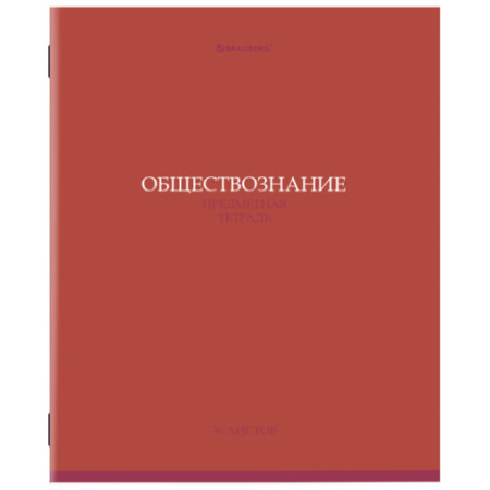 Тетради предметные, КОМПЛЕКТ 13 ПРЕДМЕТОВ, 36 л., обложка мелованная бумага, BRAUBERG, "КОЛОР", 405161