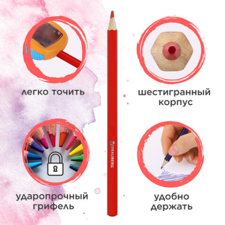 Карандаши цветные акварельные BRAUBERG "АКАДЕМИЯ", 24 цвета, шестигранные, грифель 3 мм, натуральное дерево, 181400