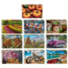 Пазл картонный, 500 элементов, АССОРТИ, поле 50х34,5 см, STEP PUZZLE
