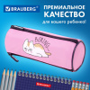 Пенал BRAUBERG, 3 отделения, нейлон, 21х7х7 см, "Lazy cat", 272306