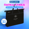 Папка для рисунков и чертежей с ручками BRAUBERG А3, пластик, молния сверху, "Твой ритм", 273411