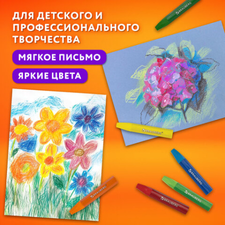 Пастель масляная восковые мелки утолщенные 12 цветов, BRAUBERG PREMIUM, 272711