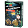Набор для раскопок "Мир" 16х23 см, инструменты, 6 видов ассорти, BRAUBERG KIDS, 665918