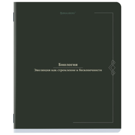 Тетради предметные, КОМПЛЕКТ 12 ПРЕДМЕТОВ, 48 л., SoftTouch, BRAUBERG "VINTAGE", 405183