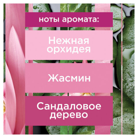 Сменный баллон 269 мл, GLADE "Японский сад" для автоматических освежителей, 864980