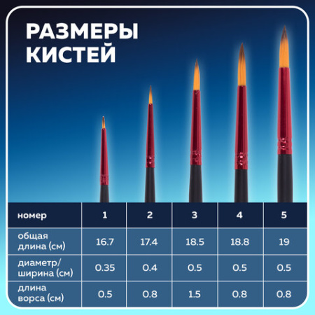 Кисти BRAUBERG PREMIUM, набор 5 шт. (синтетика, круглая № 1, 2, 3, 4, 5), блистер, 201025