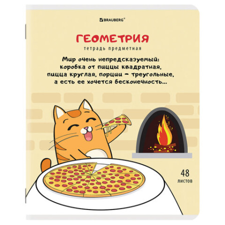 Тетради предметные, КОМПЛЕКТ 12 ПРЕДМЕТОВ, 48 л., TWIN-лак, BRAUBERG, "КОТ-ЭНТУЗИАСТ", 404609
