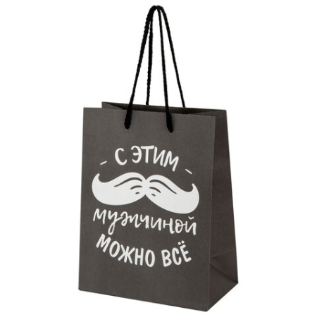 Пакет подарочный (1 штука) 18х10х23 см (M), "Man Collection", ассорти, крафт, ЗОЛОТАЯ СКАЗКА, 700804